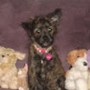 Meet your Posher, Jeff